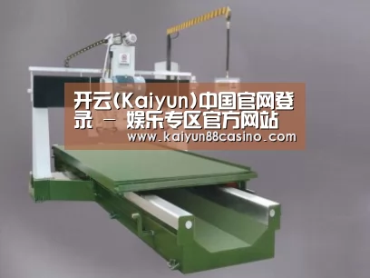 产品名称十