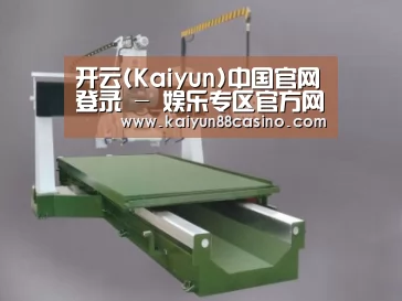 产品名称十