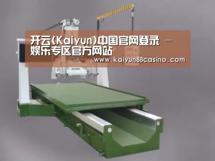 产品名称八