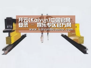 产品名称十七